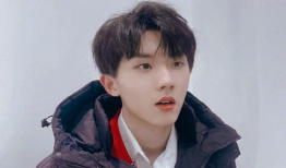 娱乐圈吃瓜马嘉祺是谁,吃瓜群众心中的谜团揭晓